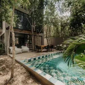 https://casa-pala-designer-la-veleta-jungle-home.allrivieramayahotels.com